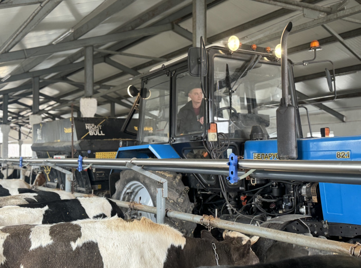 Фото предоставлено ДИП